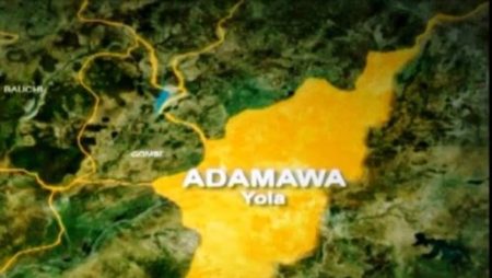 Federal Government investigates deadly flesh-eating disease outbreak in Adamawa State, suspected to be Buruli ulcer.