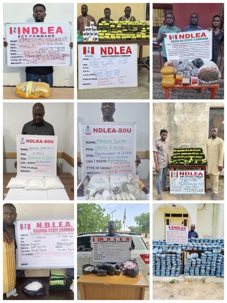 NDLEA busts drug rings, seizes 24kg cannabis in Edo The National Drug Law Enforcement Agency (NDLEA) has recorded another breakthrough in its fight against illicit substances, arresting two drug kingpins in Lagos