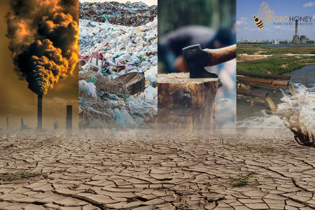 Beyond rising waters: How climate change is rewriting life in Nigeria Nigeria, the giant of Africa, known for its oil production, agriculture, and economic diversity, has faced numerous climate change effects for years, leaving many residents