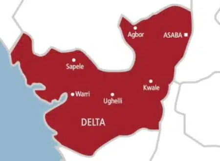 Mob kills mentally ill man mistaken for kidnapper in Delta Delta state map
