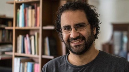 Sisi pardons jailed Egyptian-British activist Alaa Abd el-Fattah Alaa Abd el-Fattah