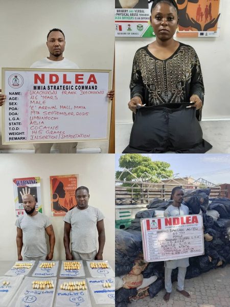NDLEA busts Brazil returnees, syndicates in drug crackdown The National Drug Law Enforcement Agency (NDLEA) has intensified its offensive against drug cartels, arresting multiple suspects and intercepting large