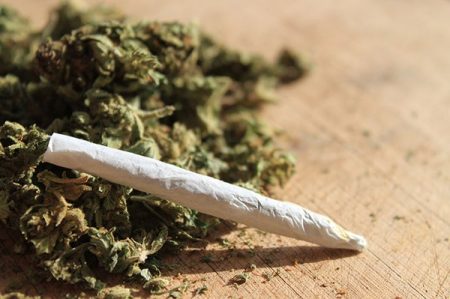 Study links marijuana inhalation to higher asthma risk across age groups A new study has revealed that daily marijuana use increases the risk of developing asthma and other respiratory complications, affecting both younger and