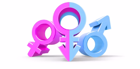 The Great Gender Equality Race: Are We There Yet?