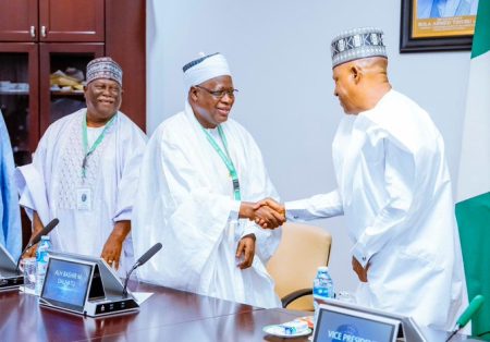 Kashim Shettima and others