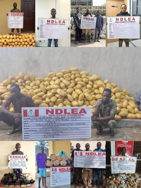 NDLEA arrests two drug traffickers, foils shipments to UK, US, DRC The operatives of the National Drug Law Enforcement Agency (NDLEA) have intercepted multiple consignments of illicit substances cleverly hidden in export goods