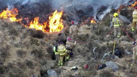 Minister vows crackdown on deliberate wildfires in Northern Ireland Wildfires in Northern Ireland