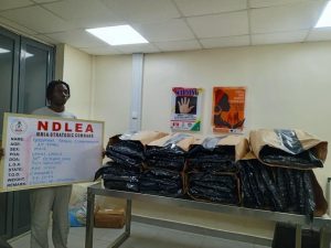 A 20-year-old Nigerian music artist, Godspower George Osahenrumwen, popularly known by his stage name Steady Boy, has been arrested by operatives of the National Drug Law