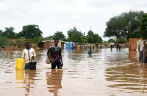 How climate change is affecting food, livelihood in West Africa Flood area in Nigeria