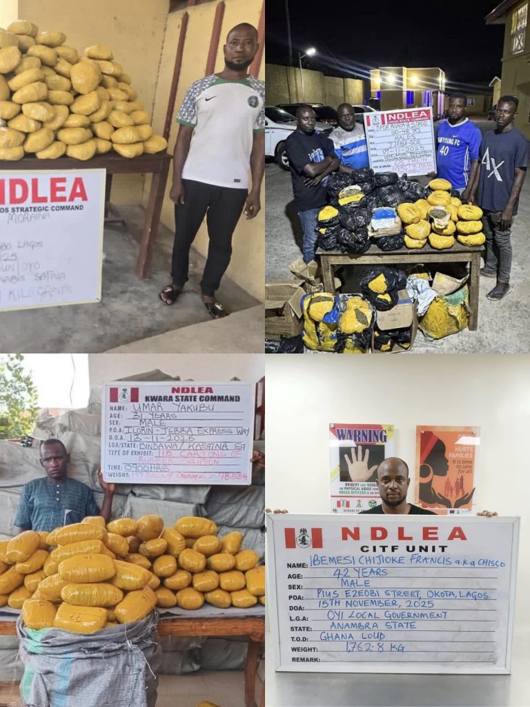 NDLEA arrests drug baron, seizes cannabis worth millions in Lagos Foreign currencies and a massive haul of cannabis worth millions of naira were seized at the weekend after operatives of the National Drug Law Enforcement Agency (NDLEA) arrested