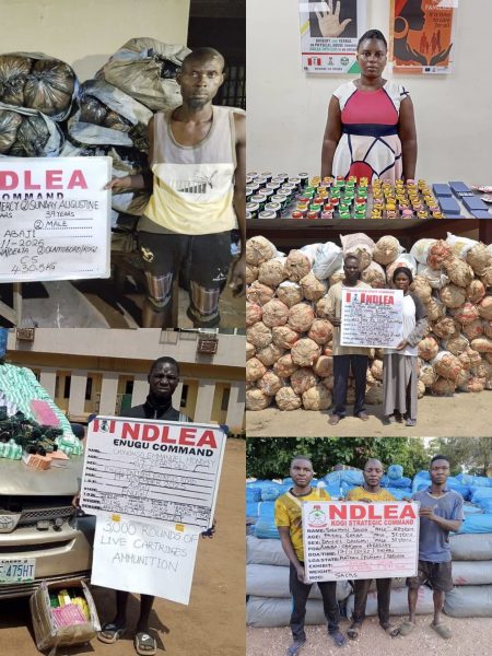 The National Drug Law Enforcement Agency (NDLEA) has arrested nine suspected drug cartel leaders in a week-long nationwide offensive that has led to the dismantling of six