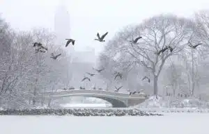 Snow, ice storm disrupts travel across US North-East Snow