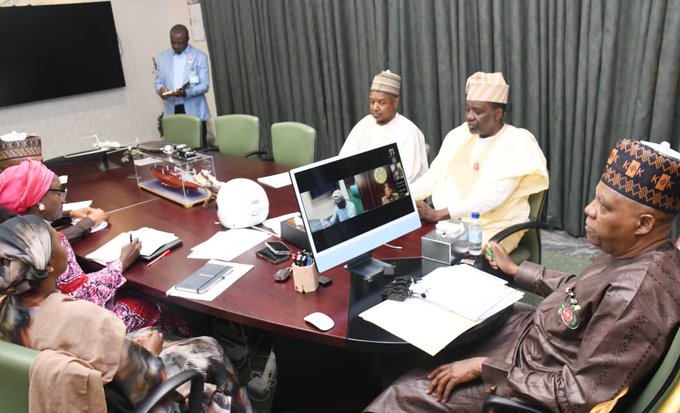 NEC sets up committee to fast-track livestock reforms Vice President Kashim Shettima at NEC meeting