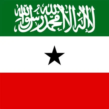 Somaliland flag