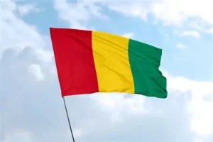 Guinea votes in first presidential election since 2021 coup Guinea flag