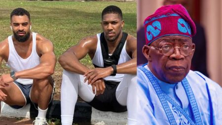 Tinubu consoles Anthony Joshua after Ogun crash claims two close aides