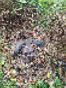 Tragedy struck in Rivers State following the kidnapping and killing of a 25-year-old woman, Rita Eleonu, despite her family paying a ransom in an attempt to secure