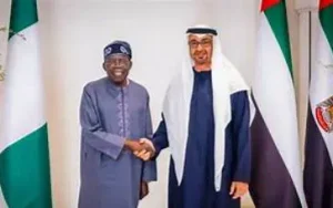 How UAE-Nigeria ties could stabilise naira, create opportunities for Nigerians