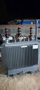 Rehabilitation of affected transformers by Hon Joshua Gana