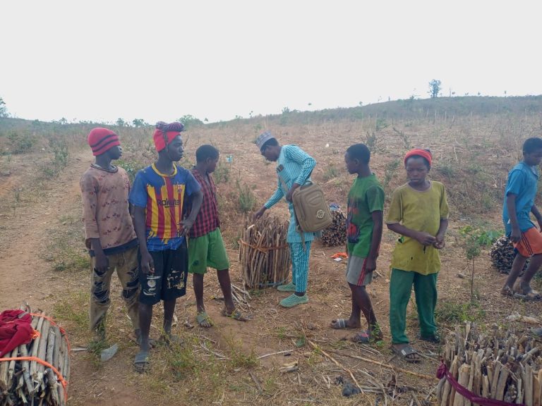 Miles for logging, hours lost to schooling in Niger village