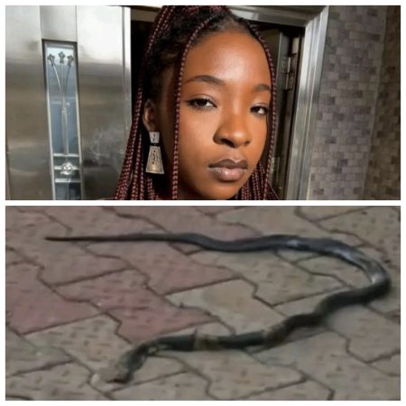 Nigerians have taken to social media to criticise the Federal Government (FG) over the alleged lack of antivenom drugs in hospitals across the country...