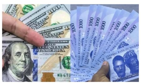 A Bureau de Change operator counts US dollars as the Nigerian Naira slid sharply against the dollar in parallel and official markets on 23 February 2026.