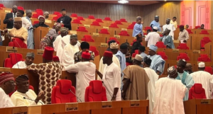 Senators in heated debate in the Nigerian Senate chamber during extraordinary sitting on Electoral Act Amendment Bill, 2026.