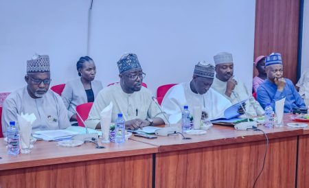 Doro Tells Senate: Poor Budget Releases Stalling Poverty Projects.