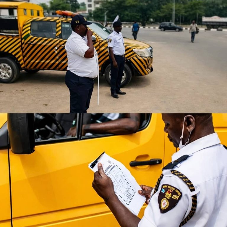 EXCLUSIVE: Court ban: Lawyers condemn VIO operation on roads Concerns have increased over the activities of Vehicle Inspection Officers (VIO), as lawyers condemn many of their actions