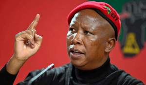 South African opposition politician Julius Malema bags five years jail over firearm offences Julius Malema