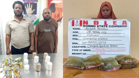 Operatives of the National Drug Law Enforcement Agency (NDLEA) have arrested a cleric and his wife at the Seme border area of Lagos after discovering a large...