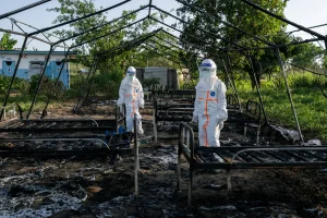 Ebola frontline staff in Congo